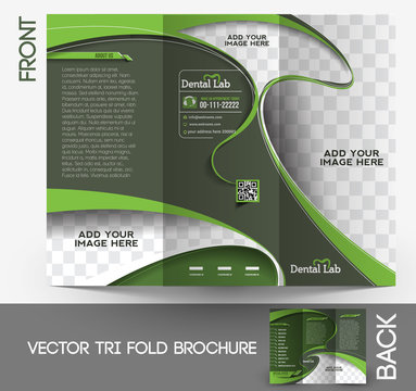 Tri-fold Dental Brochure Design Vector Illustration