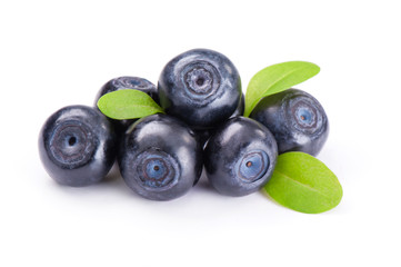 Fresh blueberries isolated on white