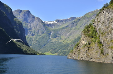 Nærøyfjord Norwegen Natur