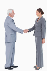 Side view of businesspartner shaking hands