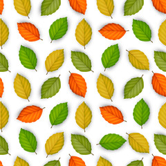 Vector seamless pattern with colored leaves