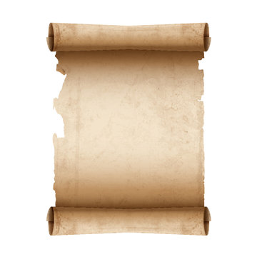 Vector ancient scroll paper