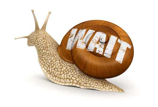 Wait Snail (clipping path included)
