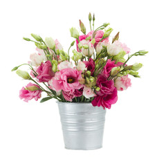 Naklejka na ściany i meble Pink eustoma flowers in pot