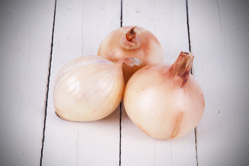 onions isolated