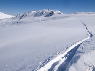 Langlauf tracks in the snow