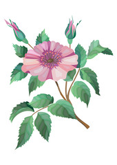 Illustration of abstract flower branch