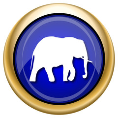 Elephant icon