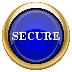 Secure icon