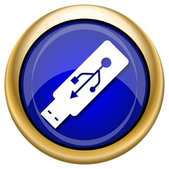 Usb flash drive icon