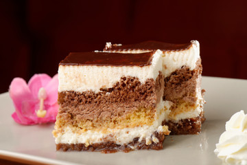 Chocolate cream cake on white plate