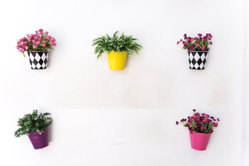 Colorful pots hanging on the walls