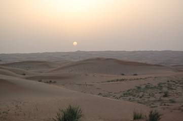 Fototapeta na wymiar wüste