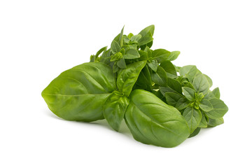 Basil.