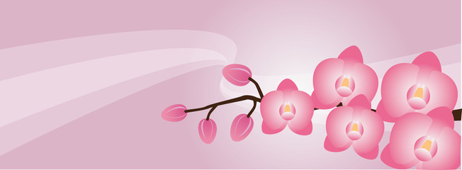 Pink banner with pink orchids