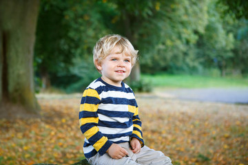 Little blond boy of two years in autumn forest.