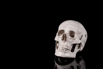 黒色の背景に頭蓋骨