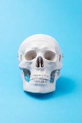 水色の背景に頭蓋骨
