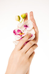 beautiful female hands with pink flower