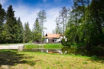 house in forest