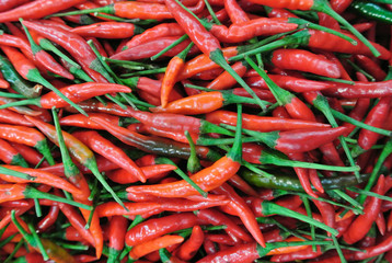 Red chili peppers