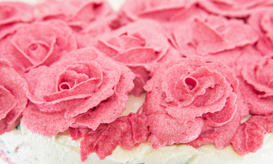 Obraz na płótnie Canvas Rose Flower Frosting
