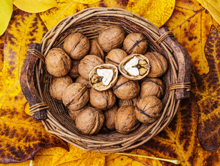 walnuts on a autumnal leaves background