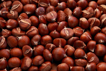 Esskastanien
