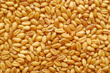 Fototapeten Wheat grains © Bits and Splits