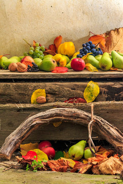 autumn still life with fruit in leaves on board and vines backgr