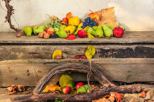 autumn still life with fruit in leaves on board and vines backgr