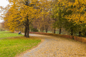 autumn in park © Artur Rorat