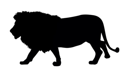 Lion silhouette