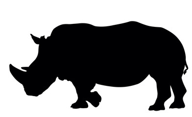 Rhino silhouette - 57239484
