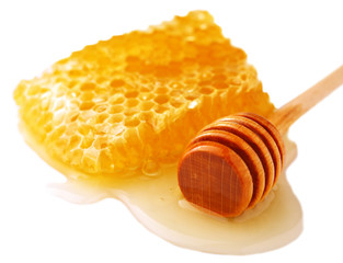 honeycomb isolated on white