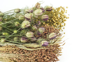 Dried flowers