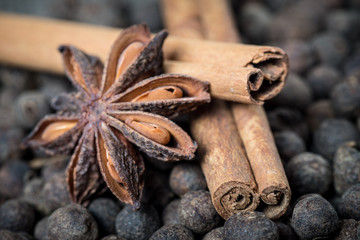 Cinnamon sticks and anise stars 