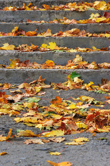 Obraz premium steps on a town square covered with foliage