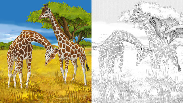 Cartoon giraffe - coloring page - illustration