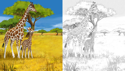 Naklejka premium Cartoon giraffe - coloring page - illustration