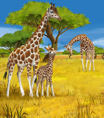 Safari - giraffes - illustration for the children © honeyflavour