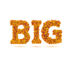 Big word of autumn fall bright orange leaves