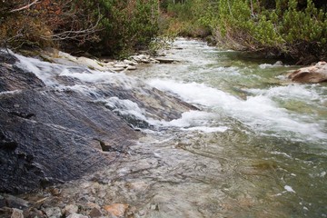 Creek in Switzerland