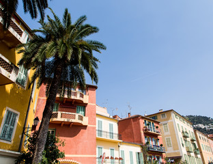 Fototapeta na wymiar Palm Trees and Buildings in Villefranche