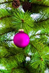 Fototapeta na wymiar Decorated Christmas tree 