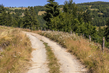 Fototapeta na wymiar Dirt road on the hillside-Transylvania