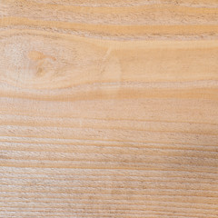 Pine tree wood texture fragment