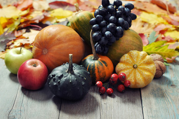 Naklejka na ściany i meble Autumn fruits and vegetables