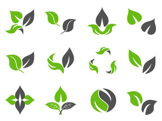 green leaves design icons