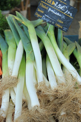 Fresh leek